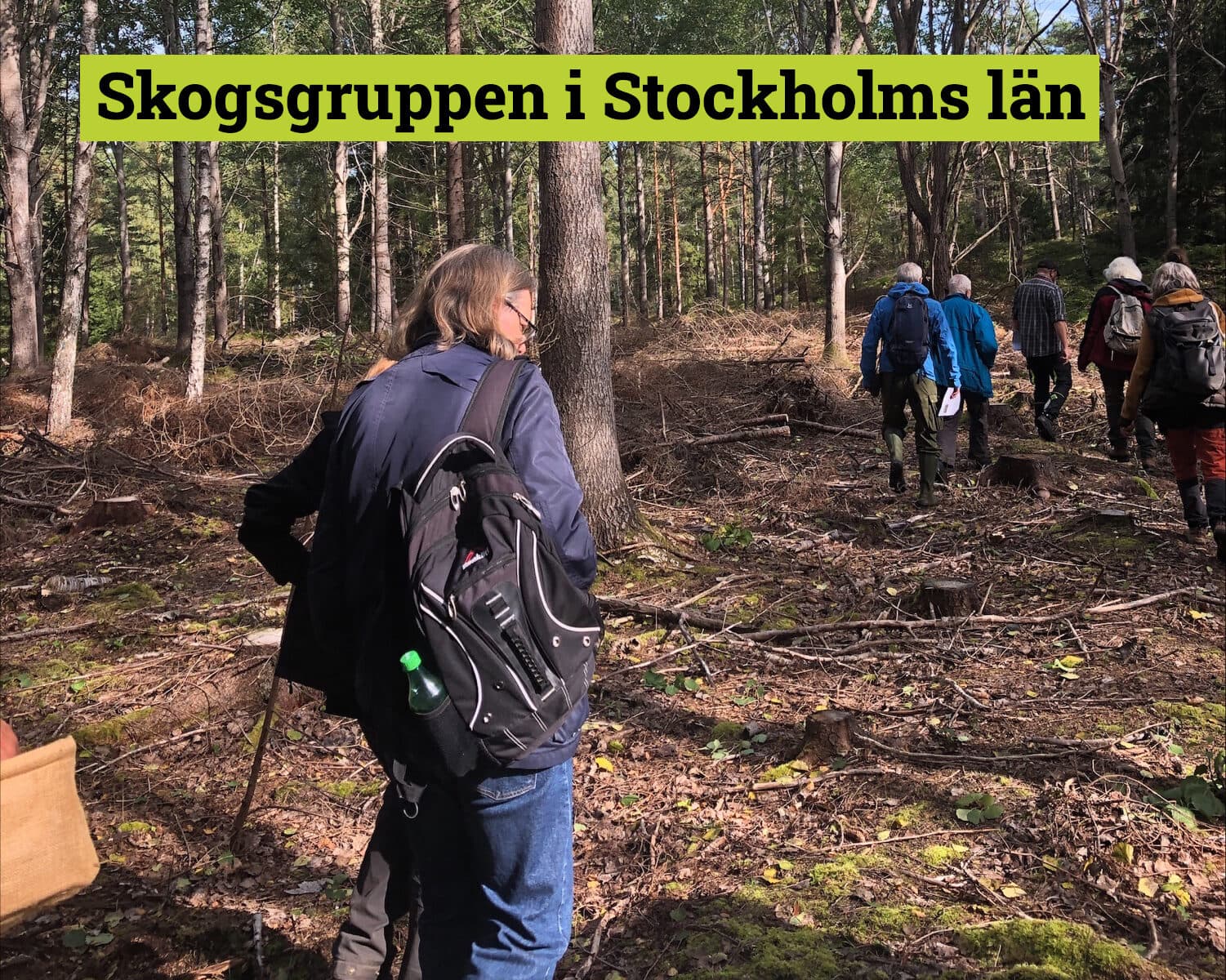 Några personer som vandrar i skogen