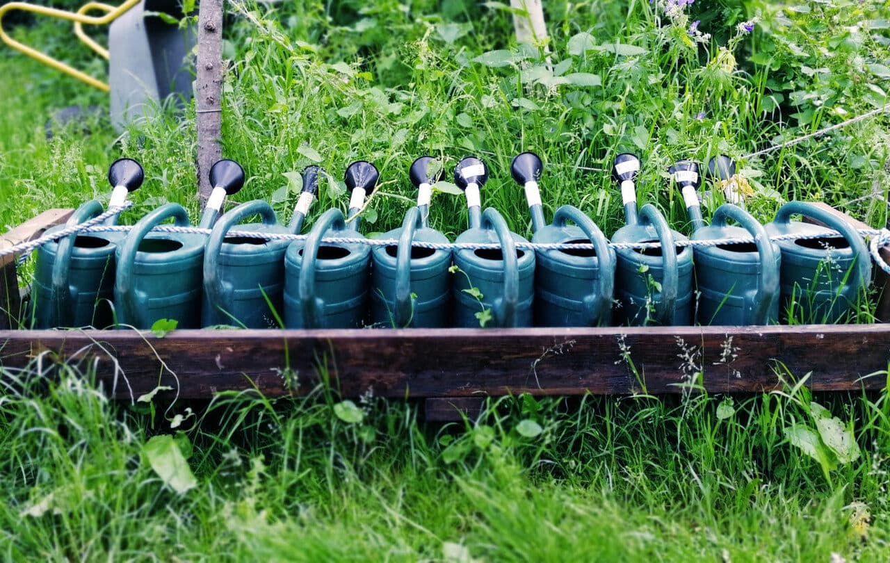 Små vattenkannor på rad