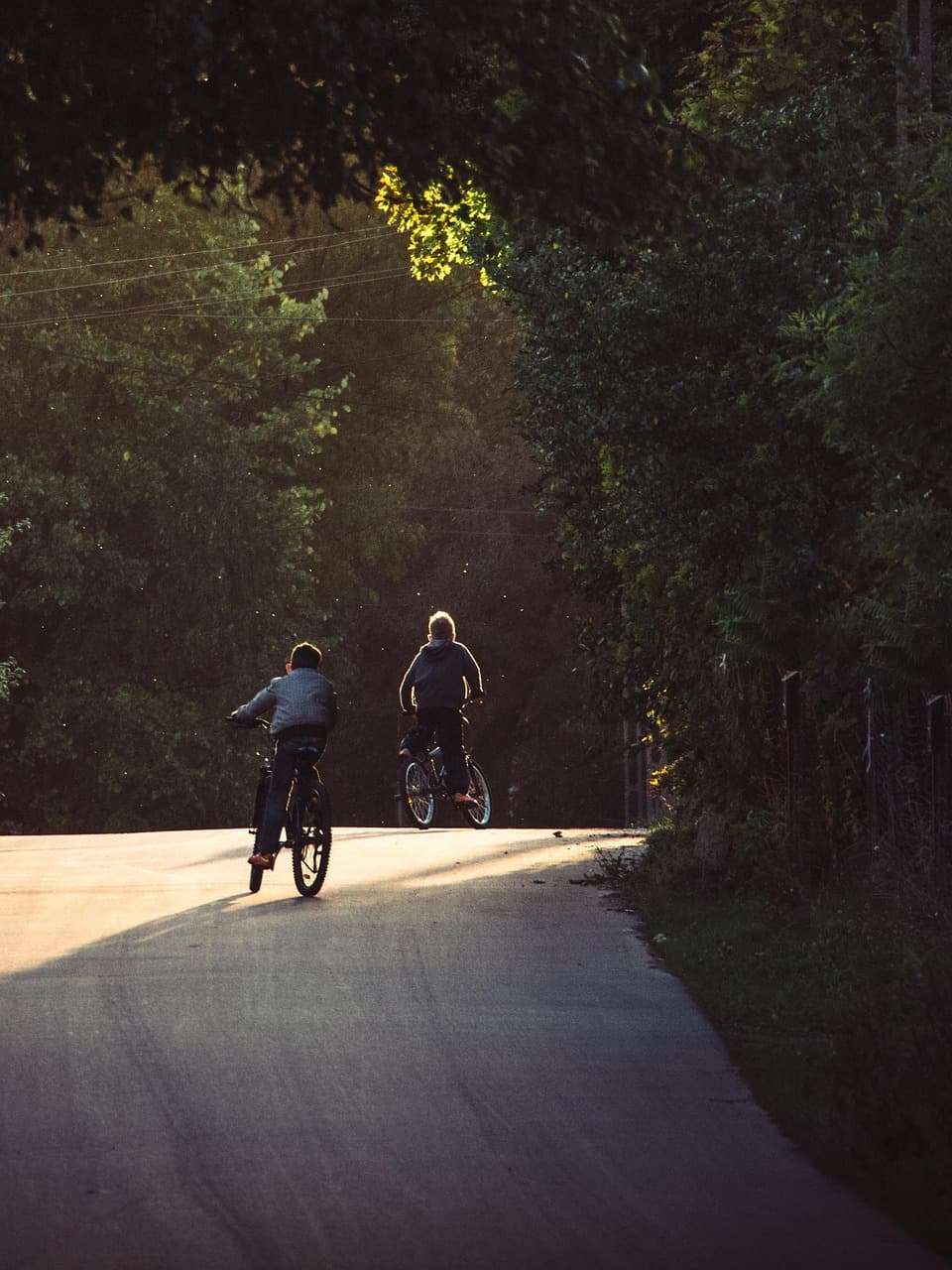 Två barn som cyklar på en landsväg omgiven av lövträd