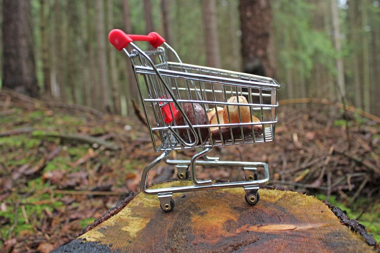 Shoppingvagn i skogen
