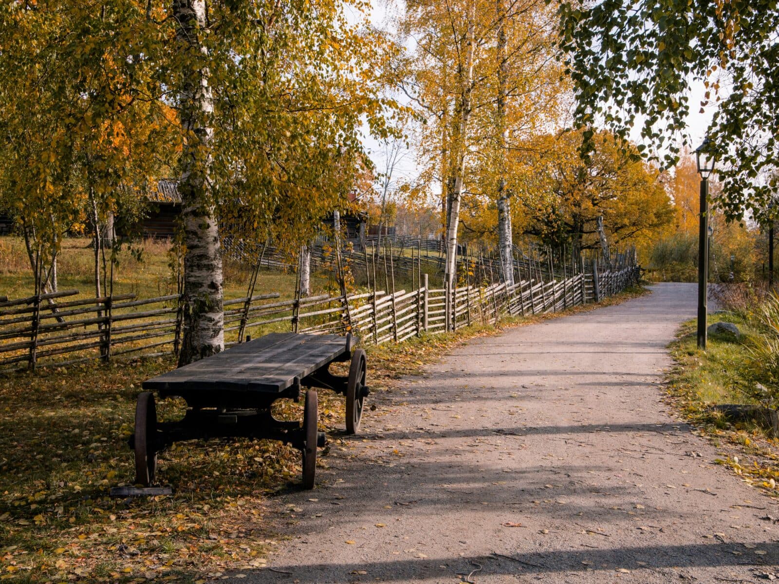 En träbänk vid en gångstig