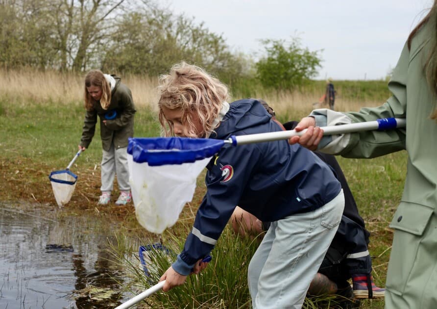 Elever med håvar vid vatten